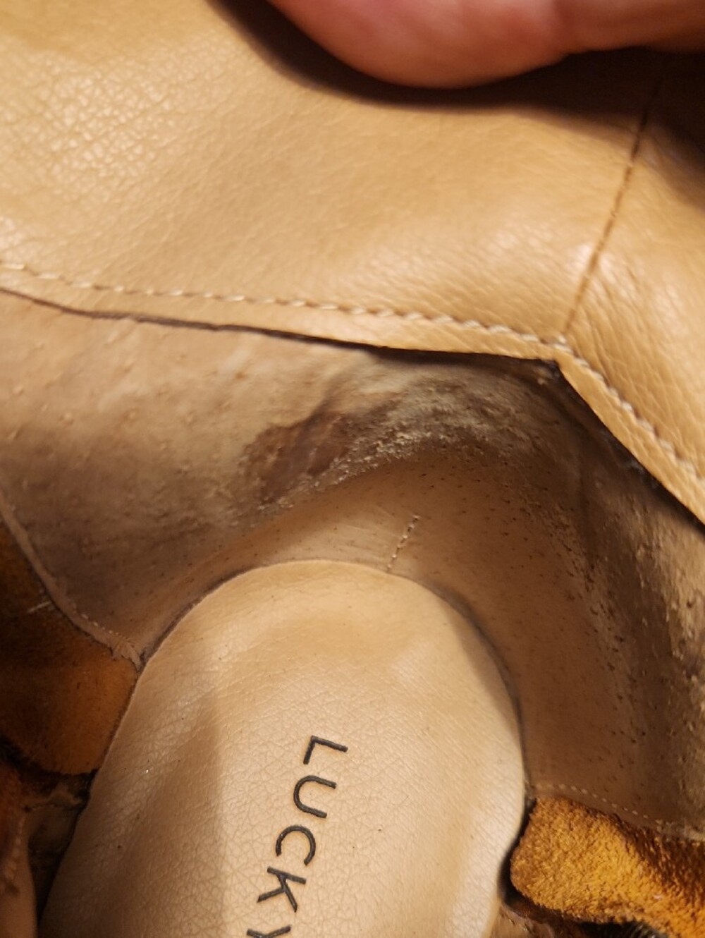 Suede Perforated Ankle Bootie By Lucky Brand Size 7.5 Womens- Tan - Picture 4 of 7